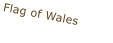 Flag of Wales